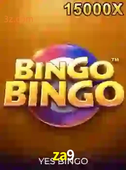 bingobingo